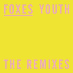 Cover of Youth (The Remixes)