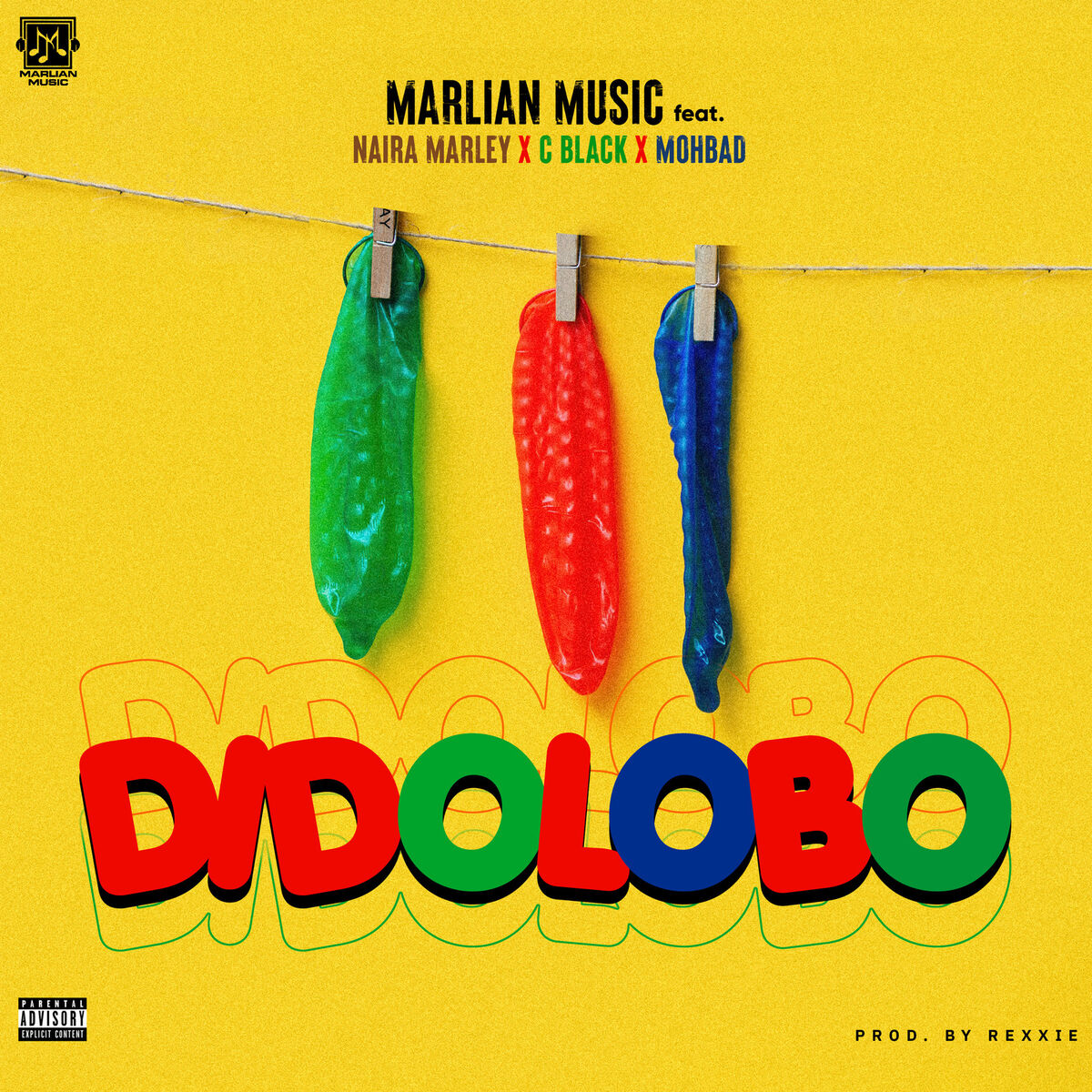 Album cover of Dido Lobo (Freestyle)