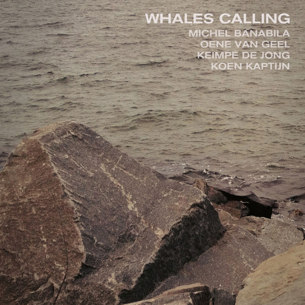Picture of Whales Calling