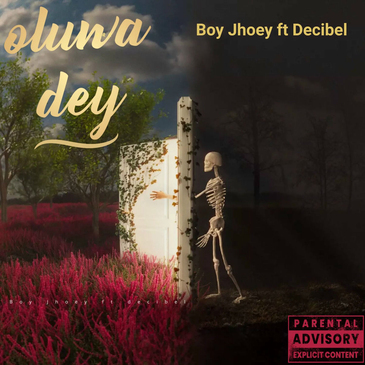 Album cover of Oluwa dey