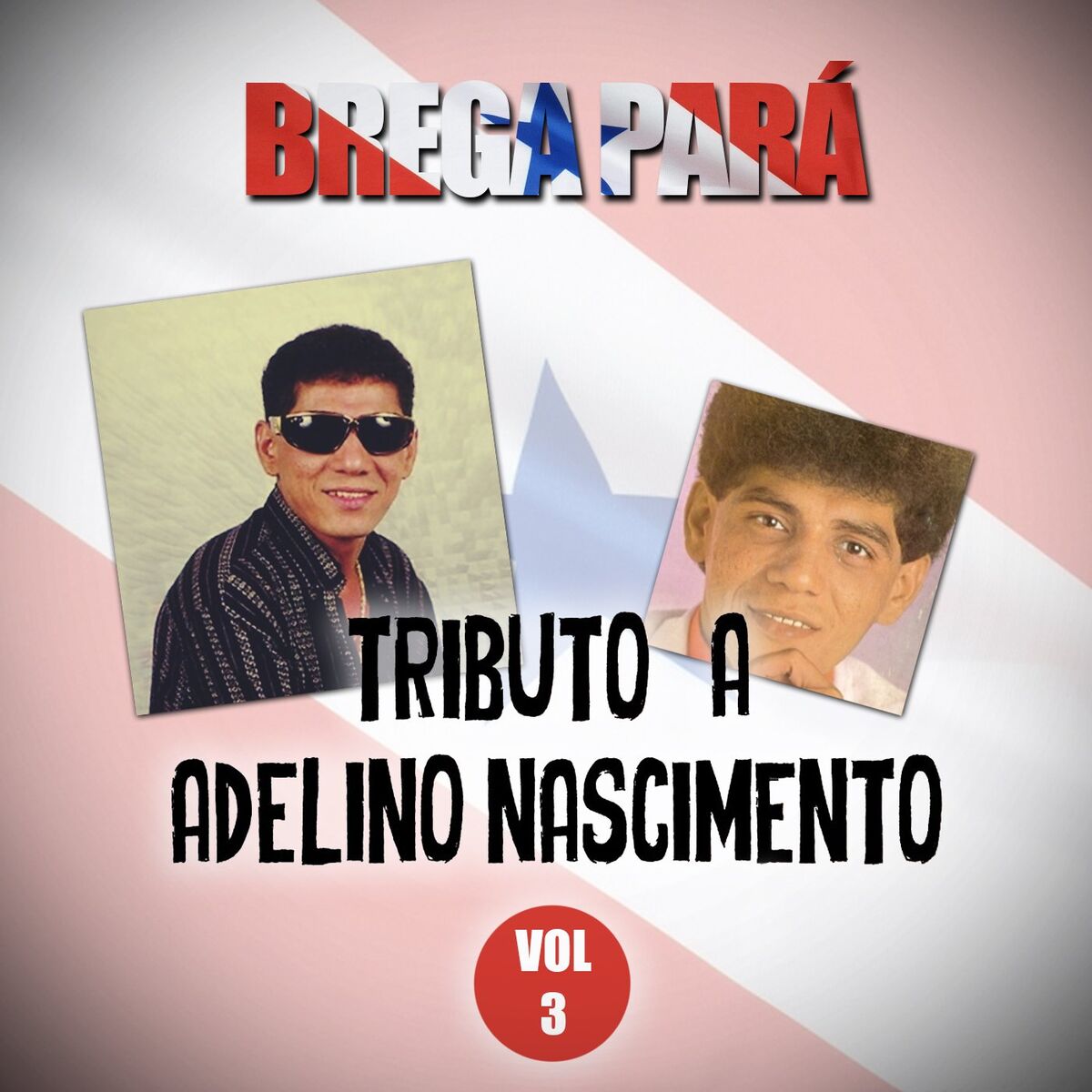 Album cover of Brega Pará, Tributo a Adelino Nascimento: Vol. 3