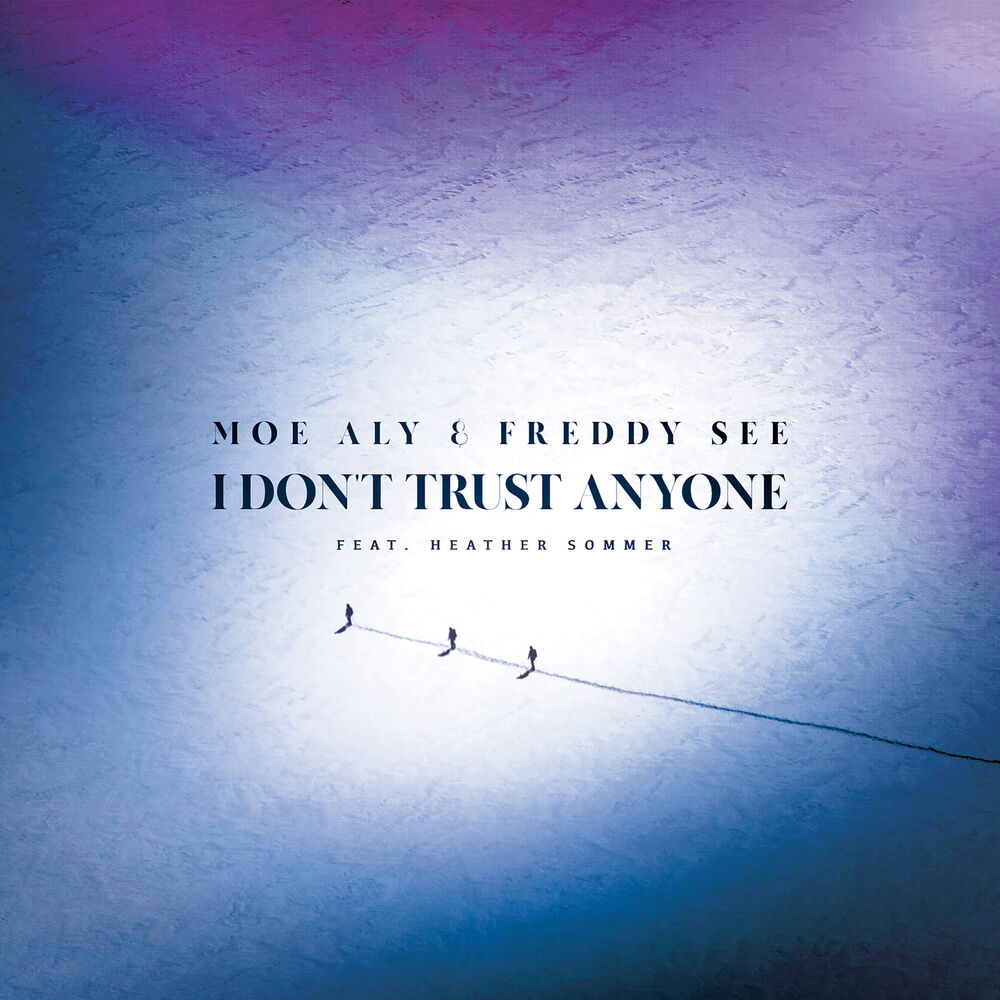 Picture of I Don't Trust Anyone