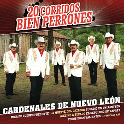 Cover of 20 Corridos Bien Perrones