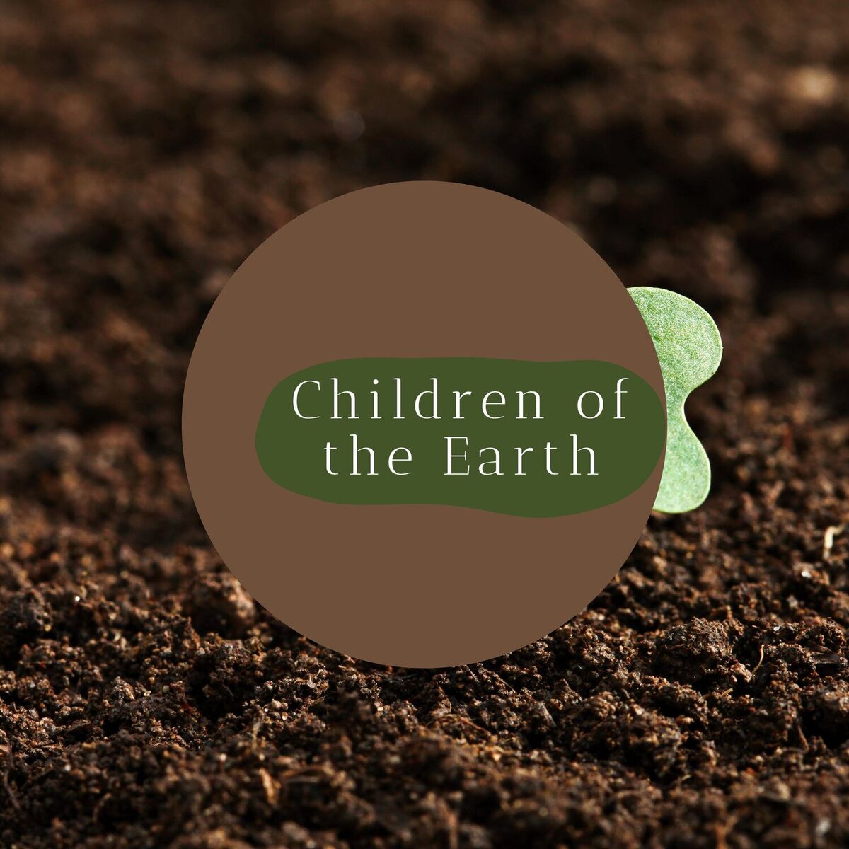 Album cover of Children of the Earth