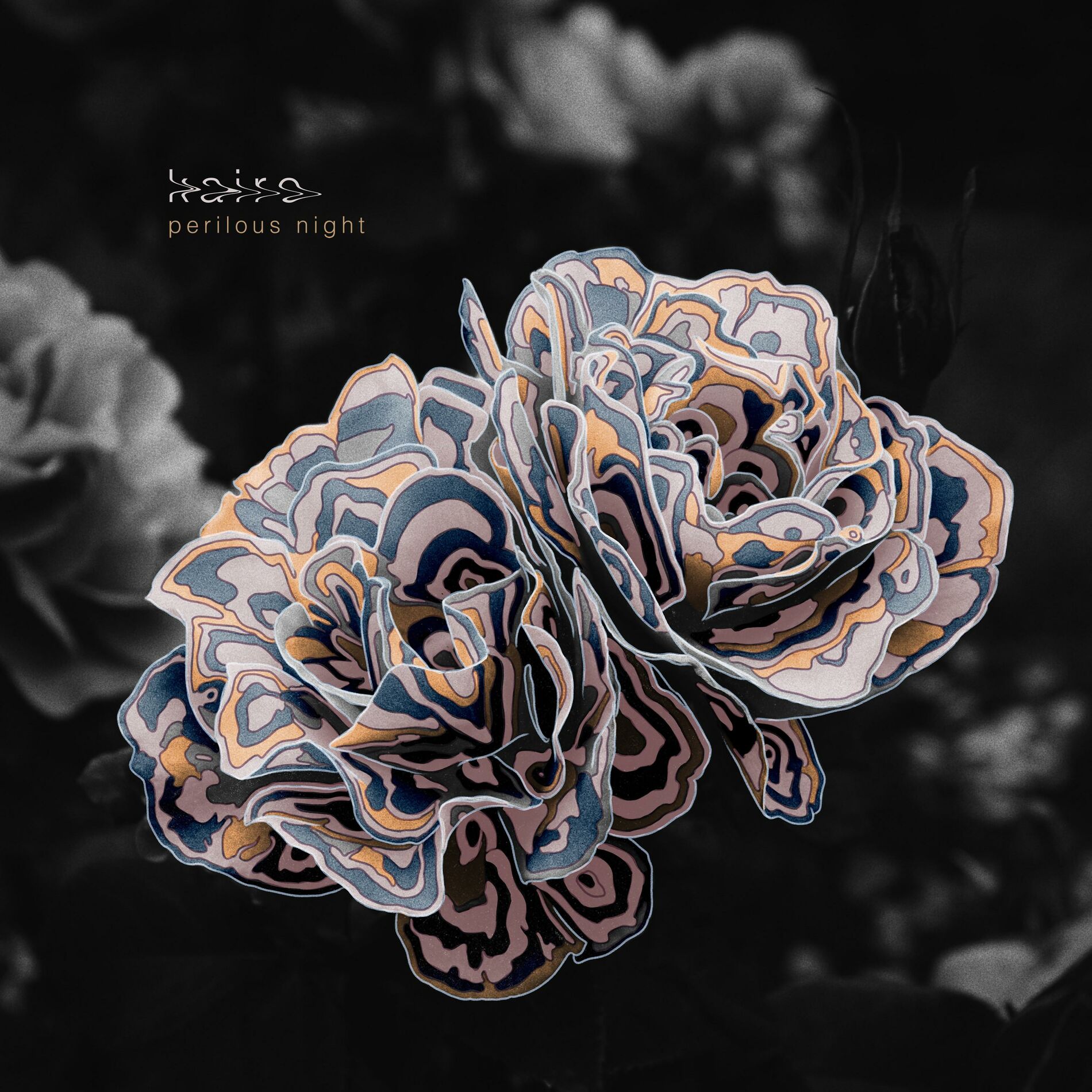 Album cover of Perilous Night