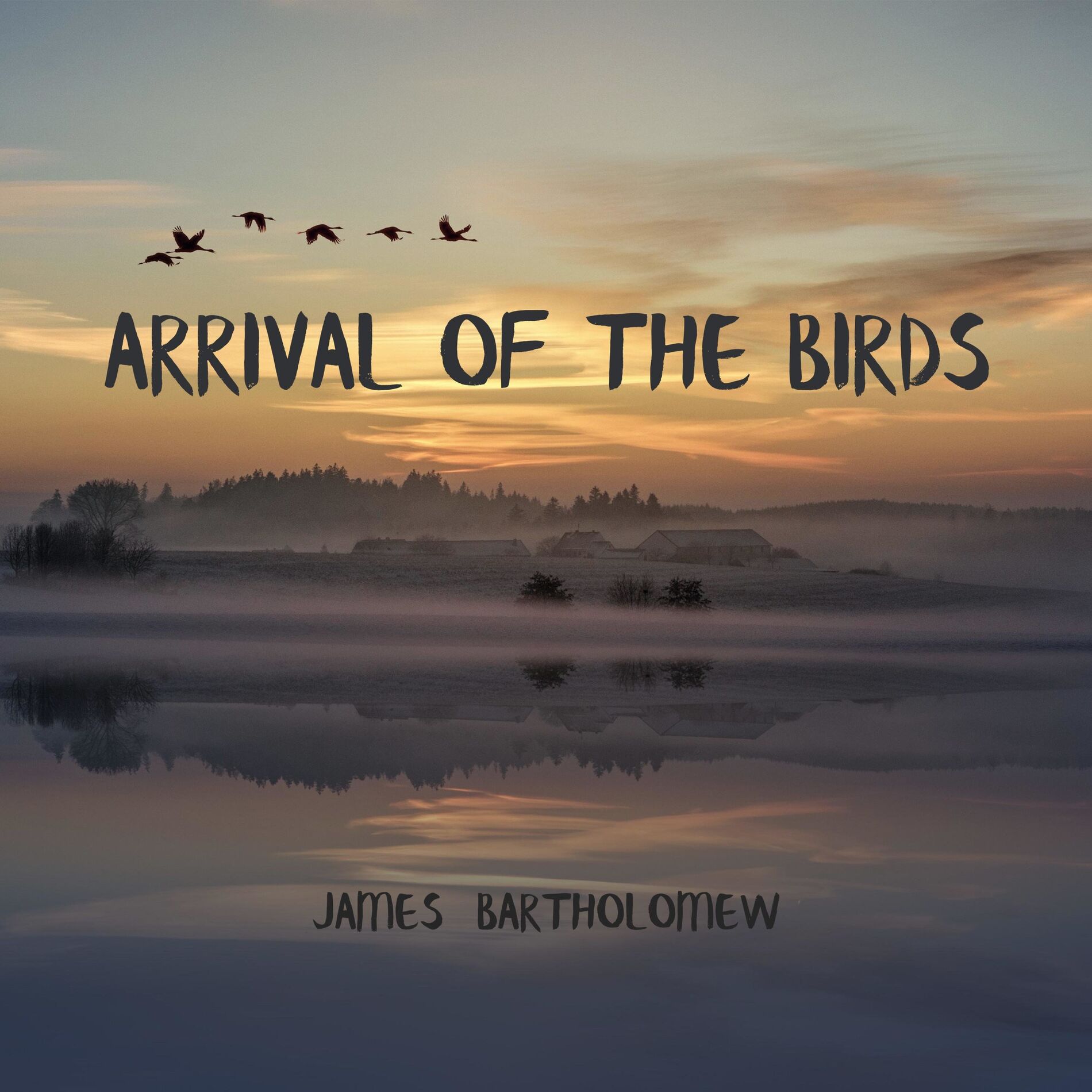 Album cover of Arrival of the Birds