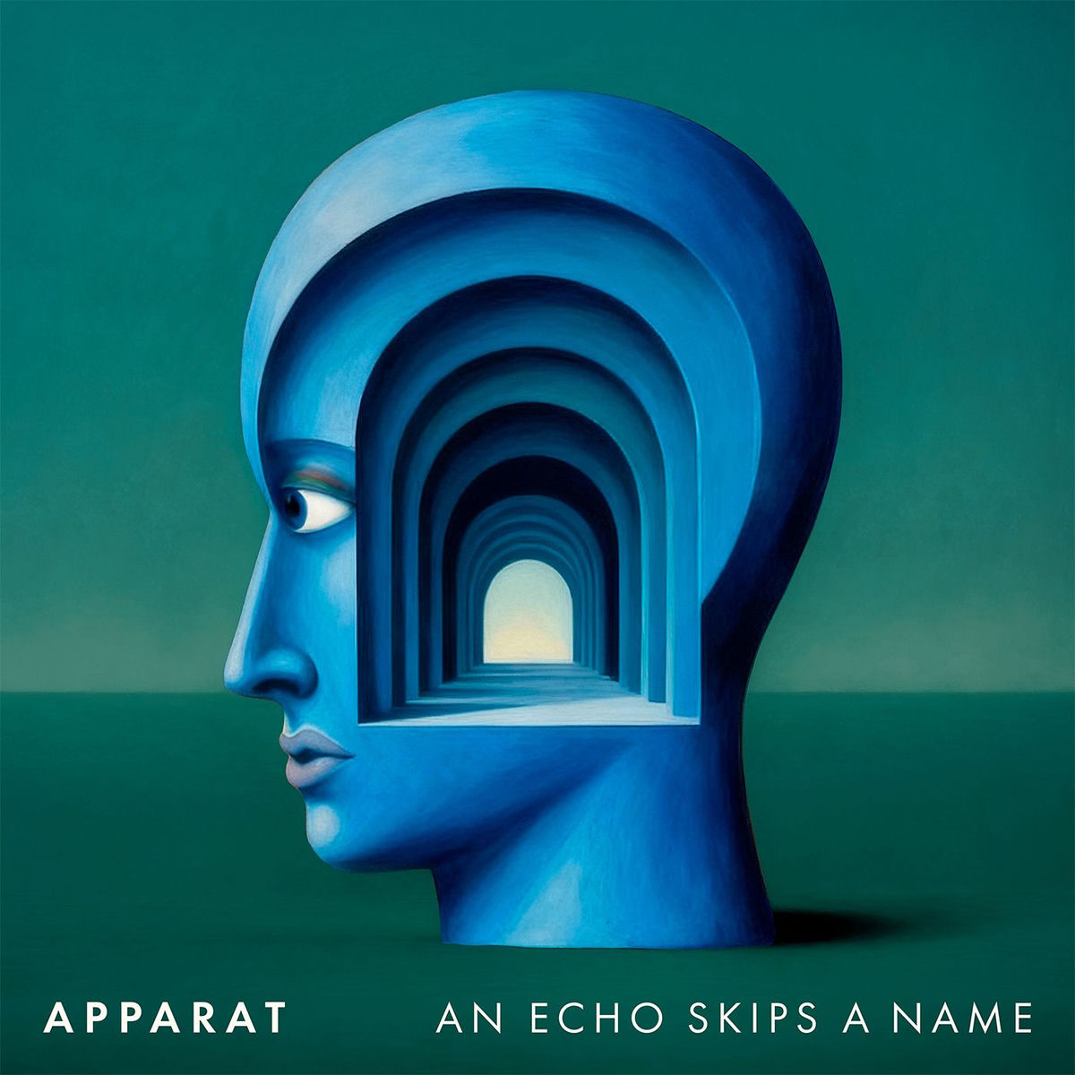 Album cover of An Echo Skips A Name