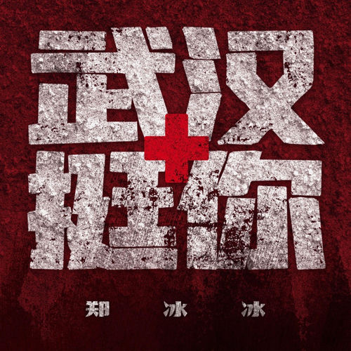 武汉挺你
