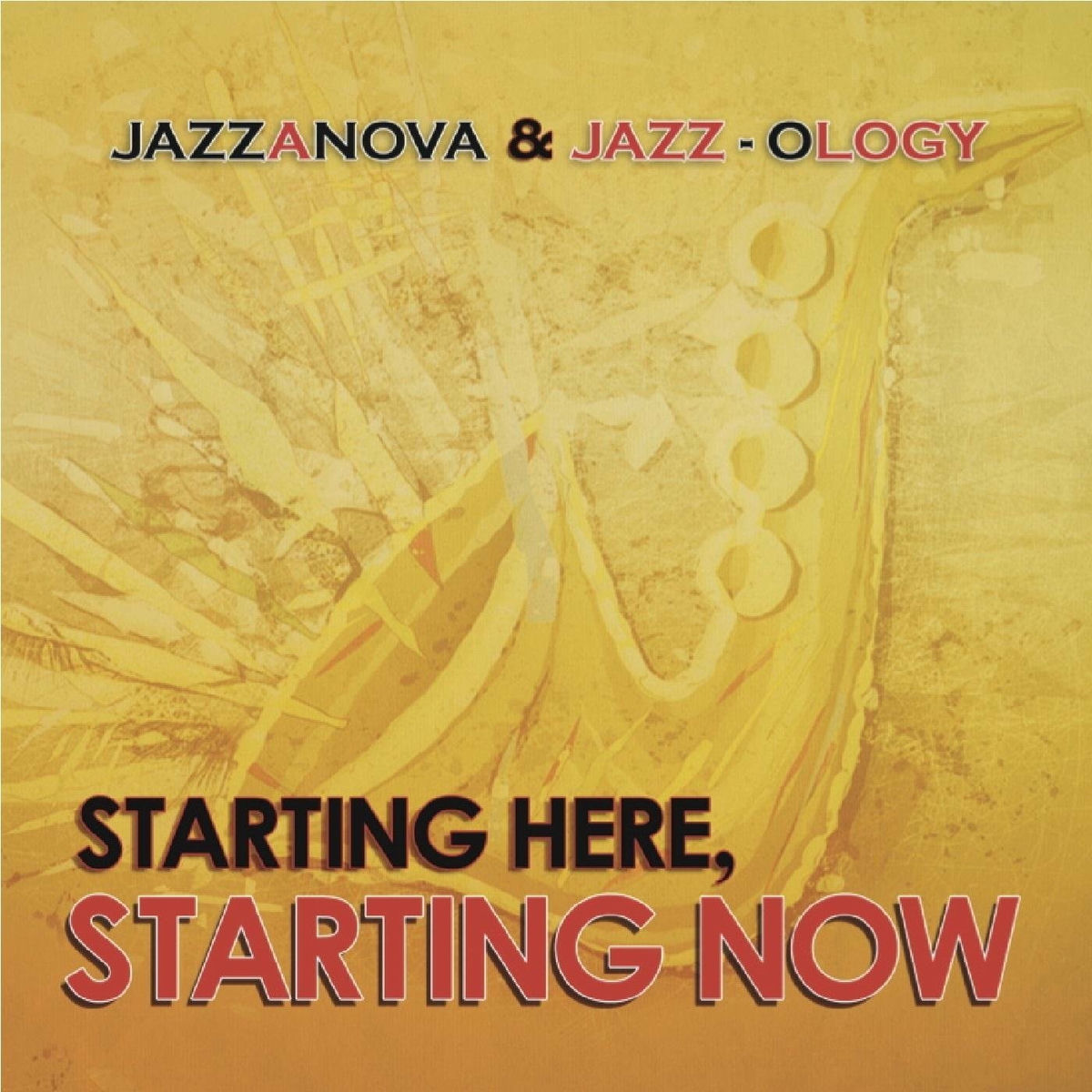Album cover of Starting Here, Starting Now