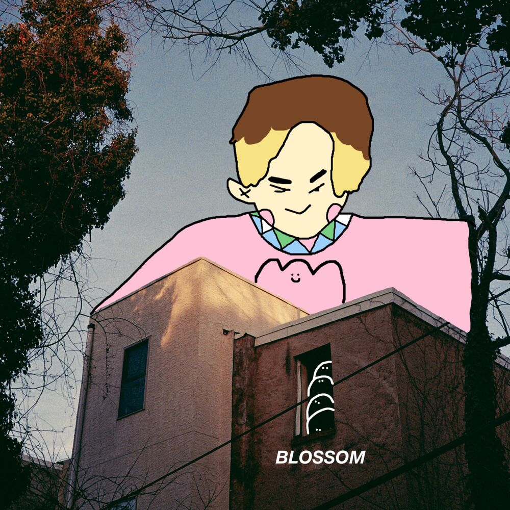 Picture of Blossom