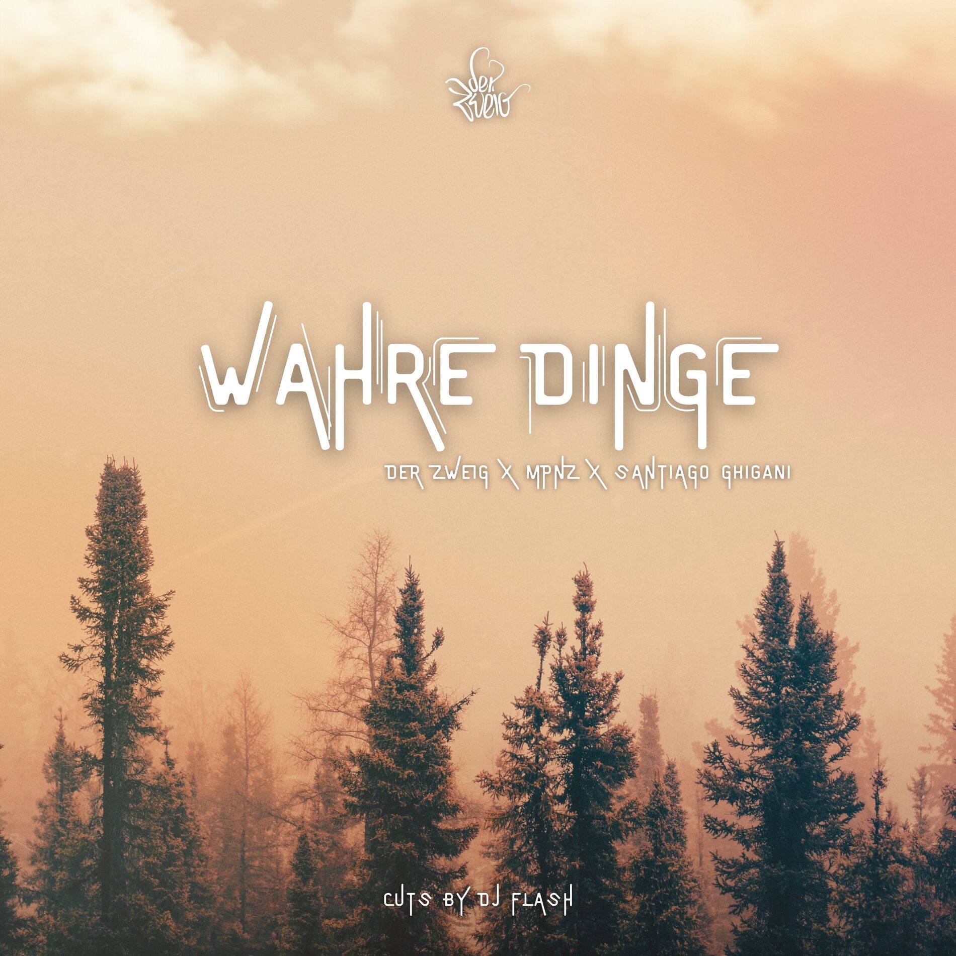 Album cover of Wahre Dinge