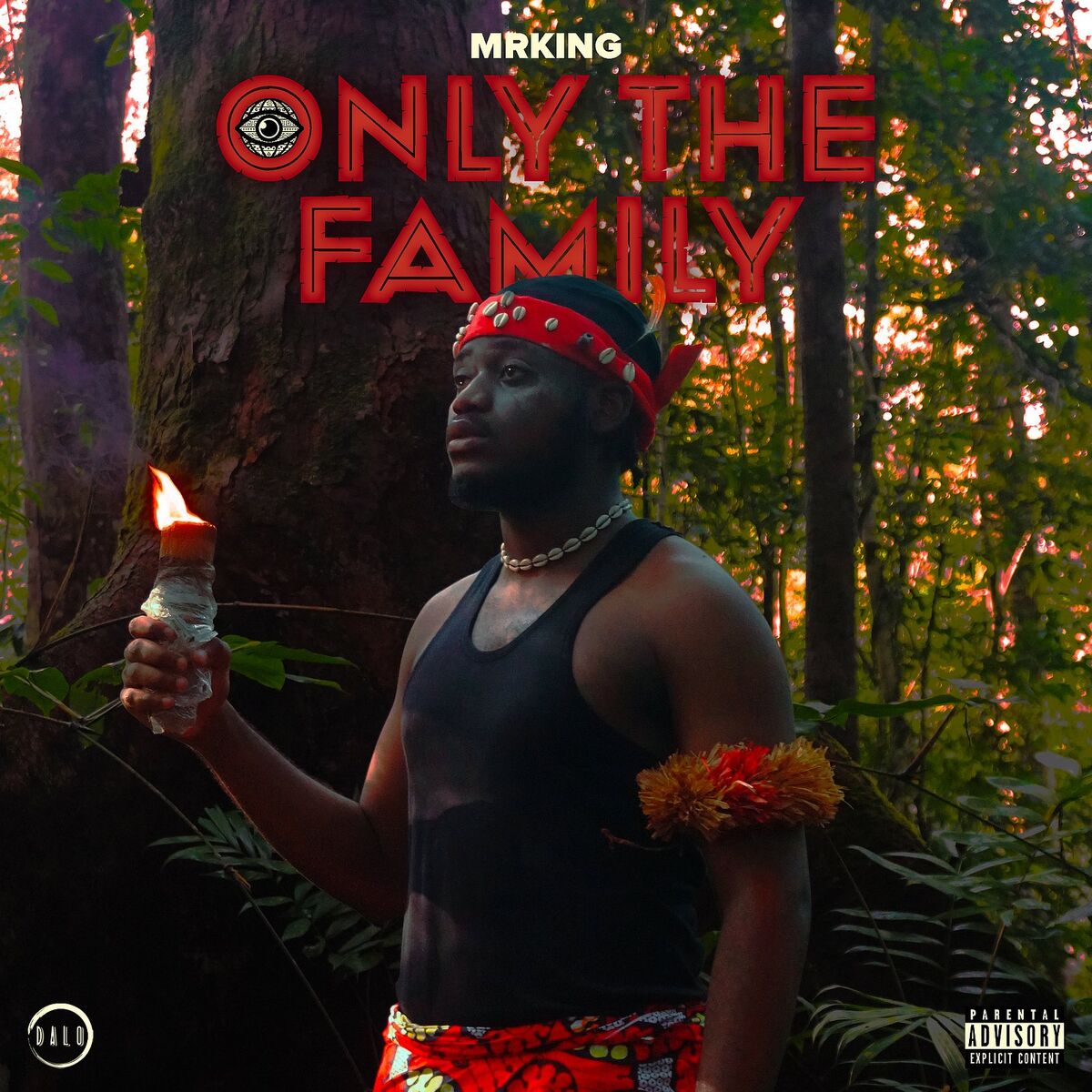 Album cover of Pmc