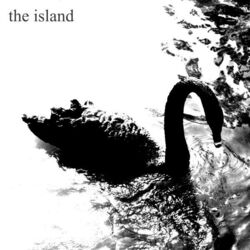 Cover of Swan