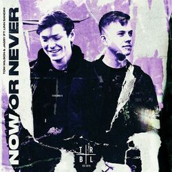Cover of Now or Never