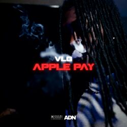 Cover of Apple Pay