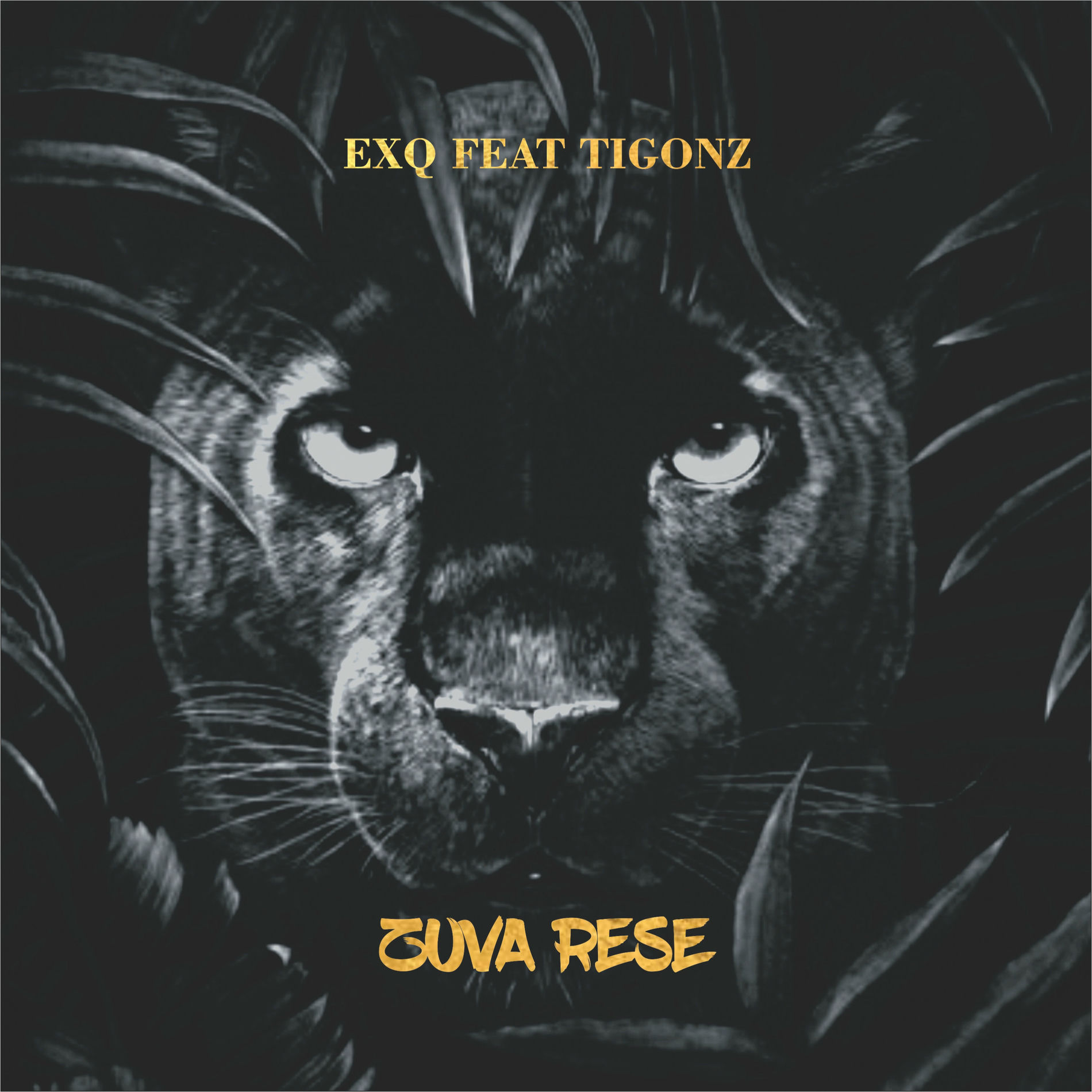 Album cover of Zuva Rese