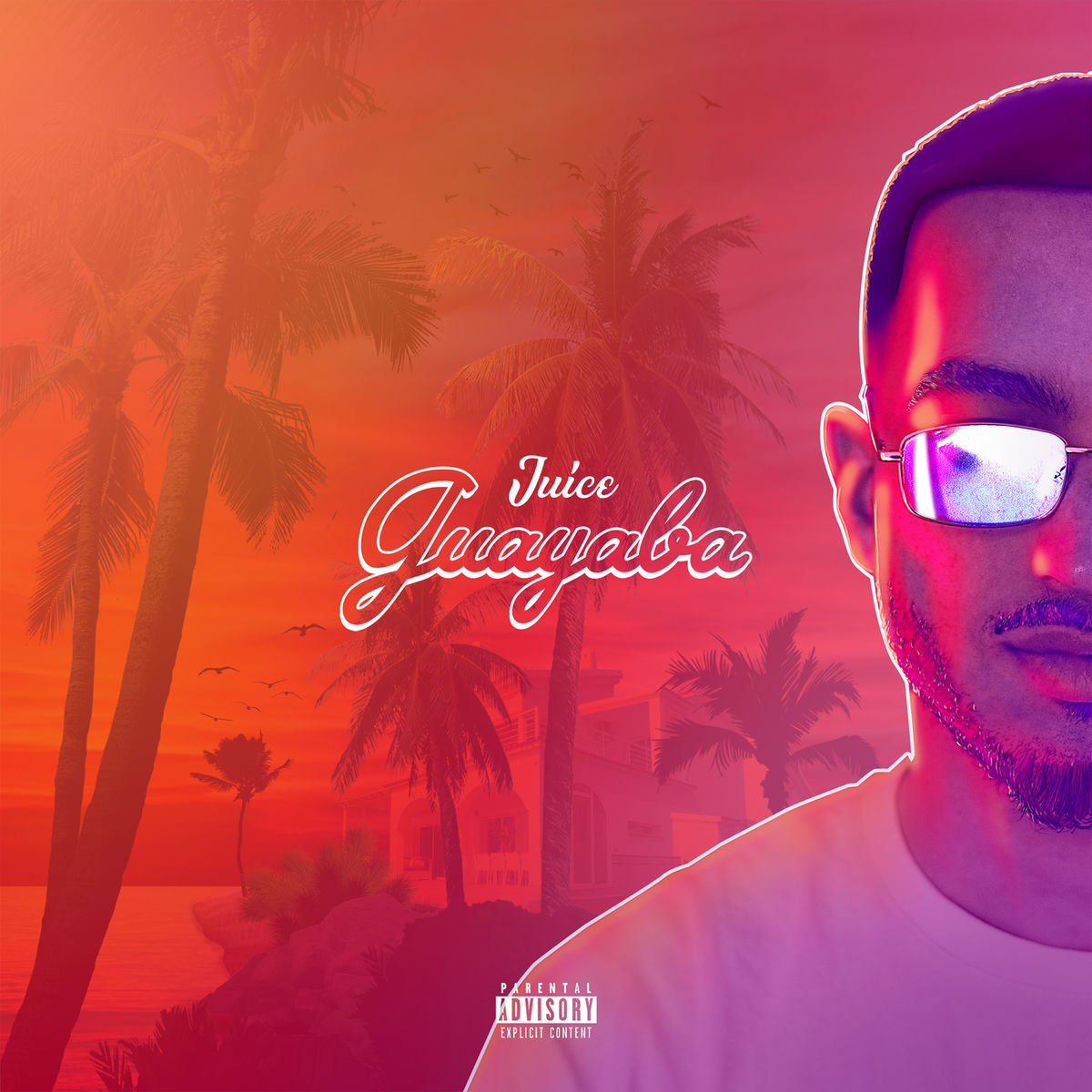 Album cover of Guayaba