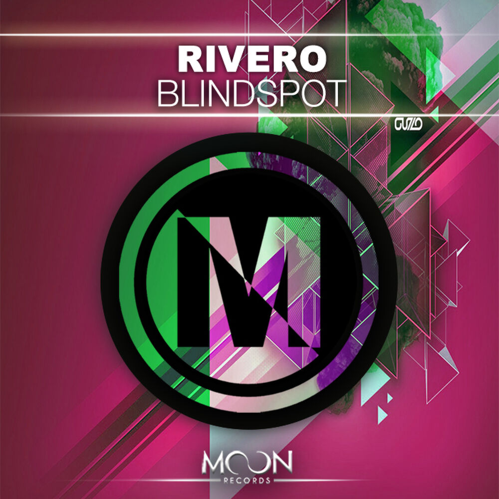 Picture of Blindspot