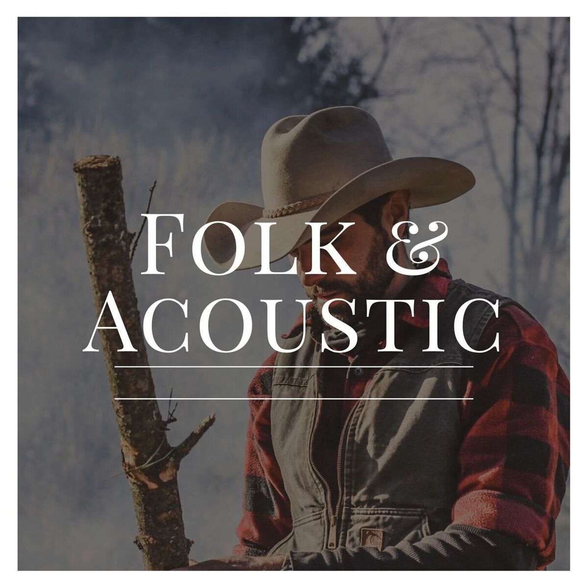 Album cover of Folk & Acoustic