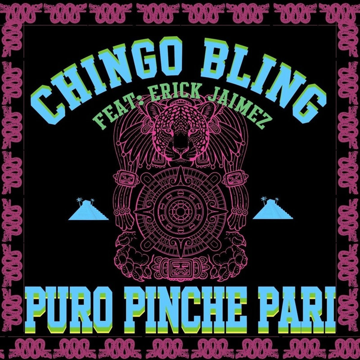 Album cover of Puro Pinche Pari