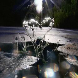 Cover of oh my god
