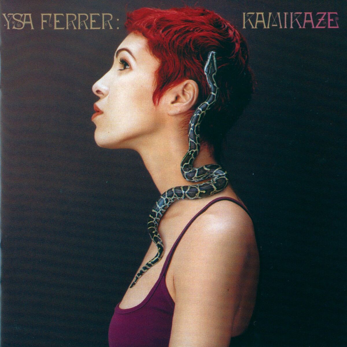 Album cover of Mes rêves