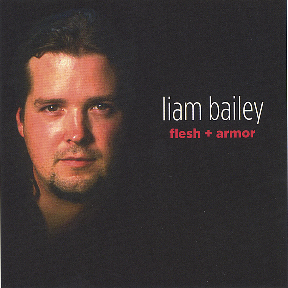 Album cover of Flesh & Armor
