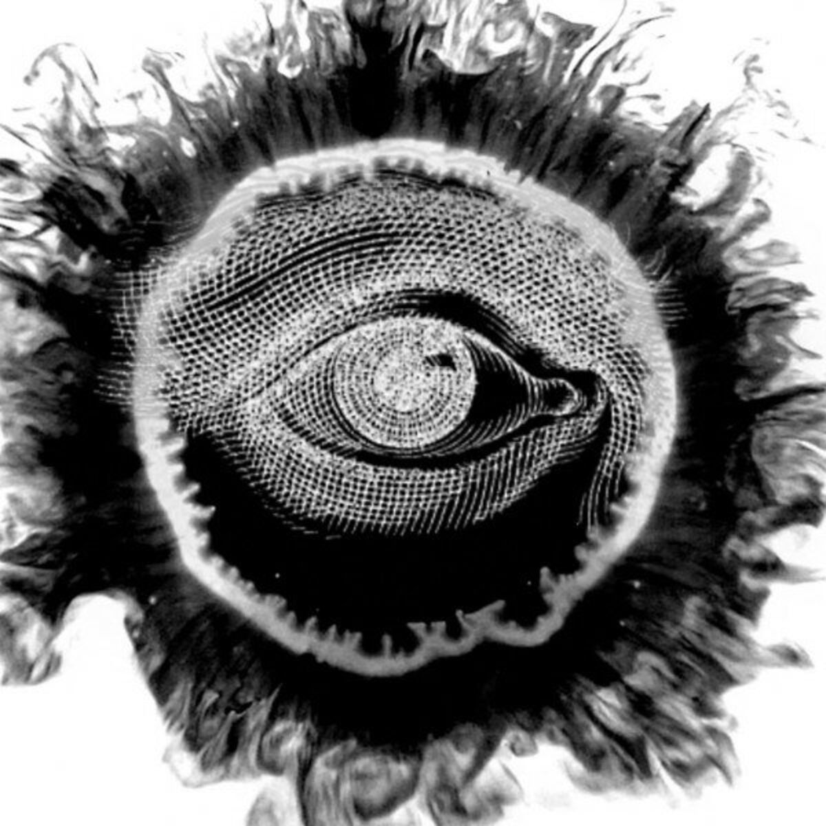 Album cover of The Origin of Fire