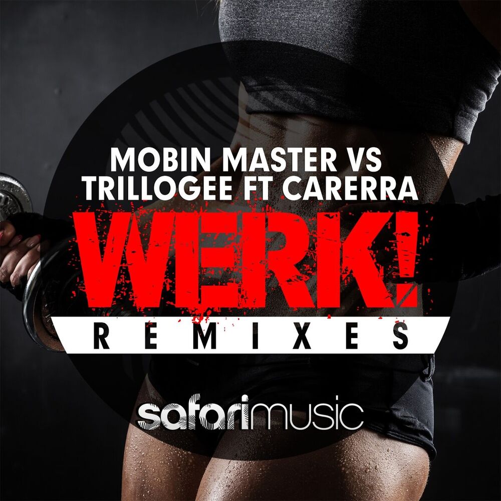 Picture of Werk! (Remixes)