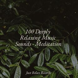 Cover of 100 Deeply Relaxing Music Sounds - Meditation