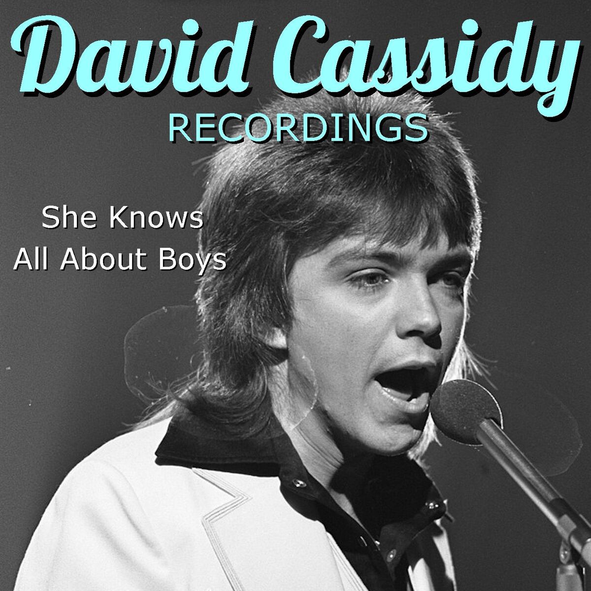 Album cover of She Knows All About Boys David Cassidy Recordings