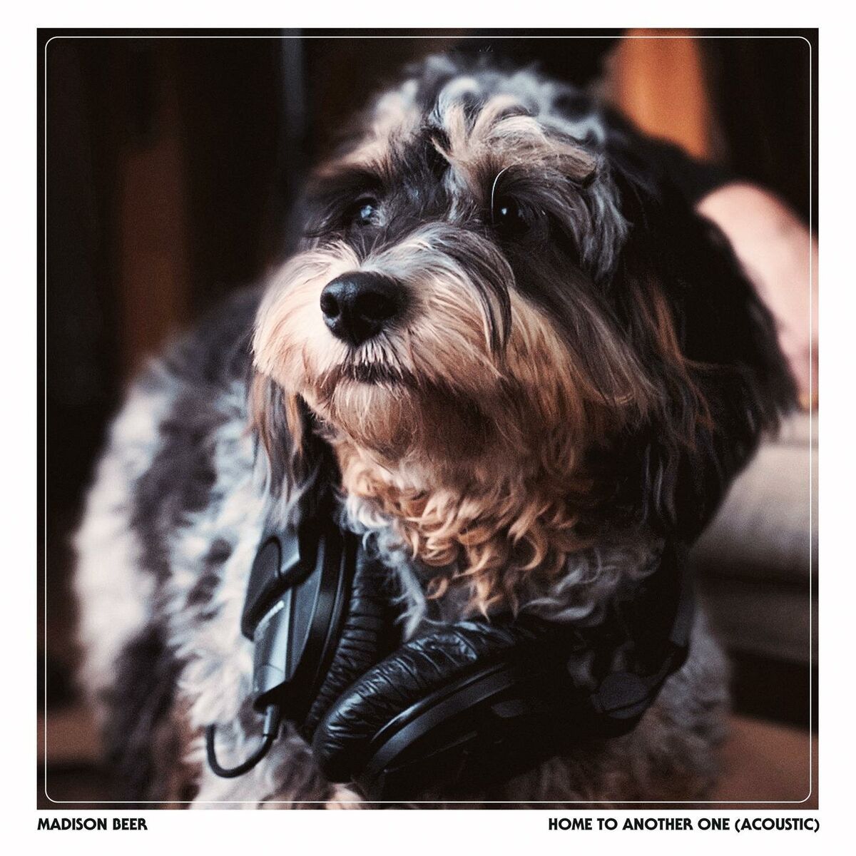 Album cover of Home To Another One