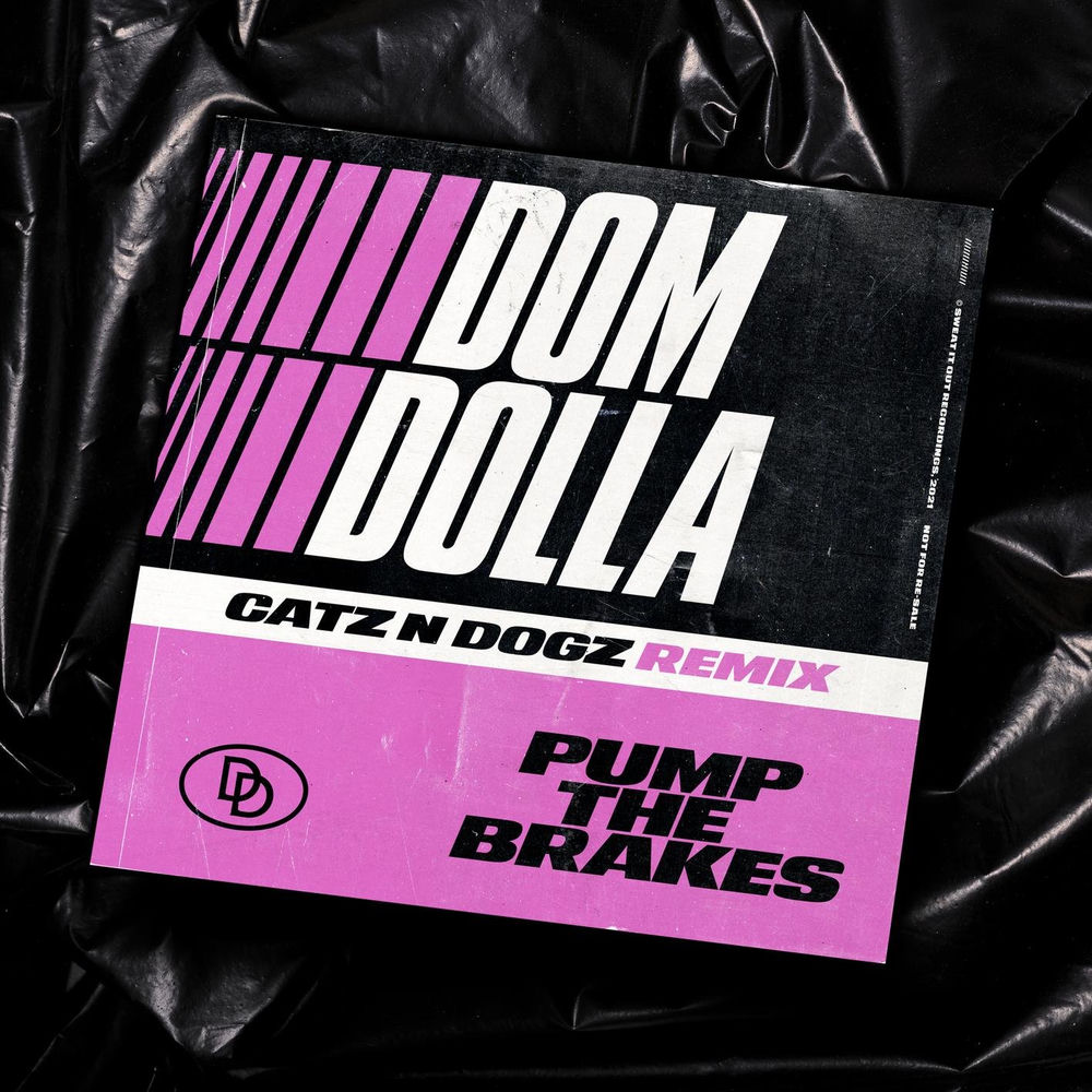 Pump the Brakes (Catz 'n Dogz Remix) cover