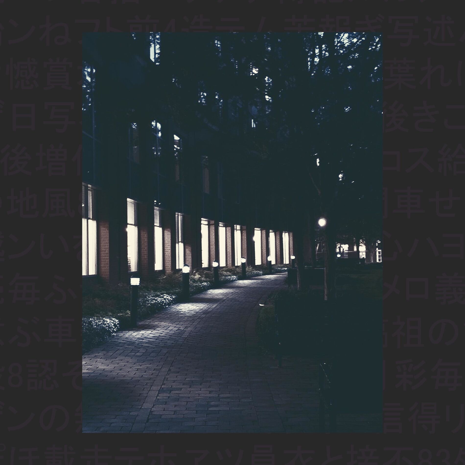 Album cover of winter visions, vol 2