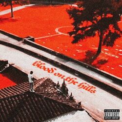 Cover of Blood On The Hills