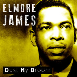 Cover of Dust My Broom