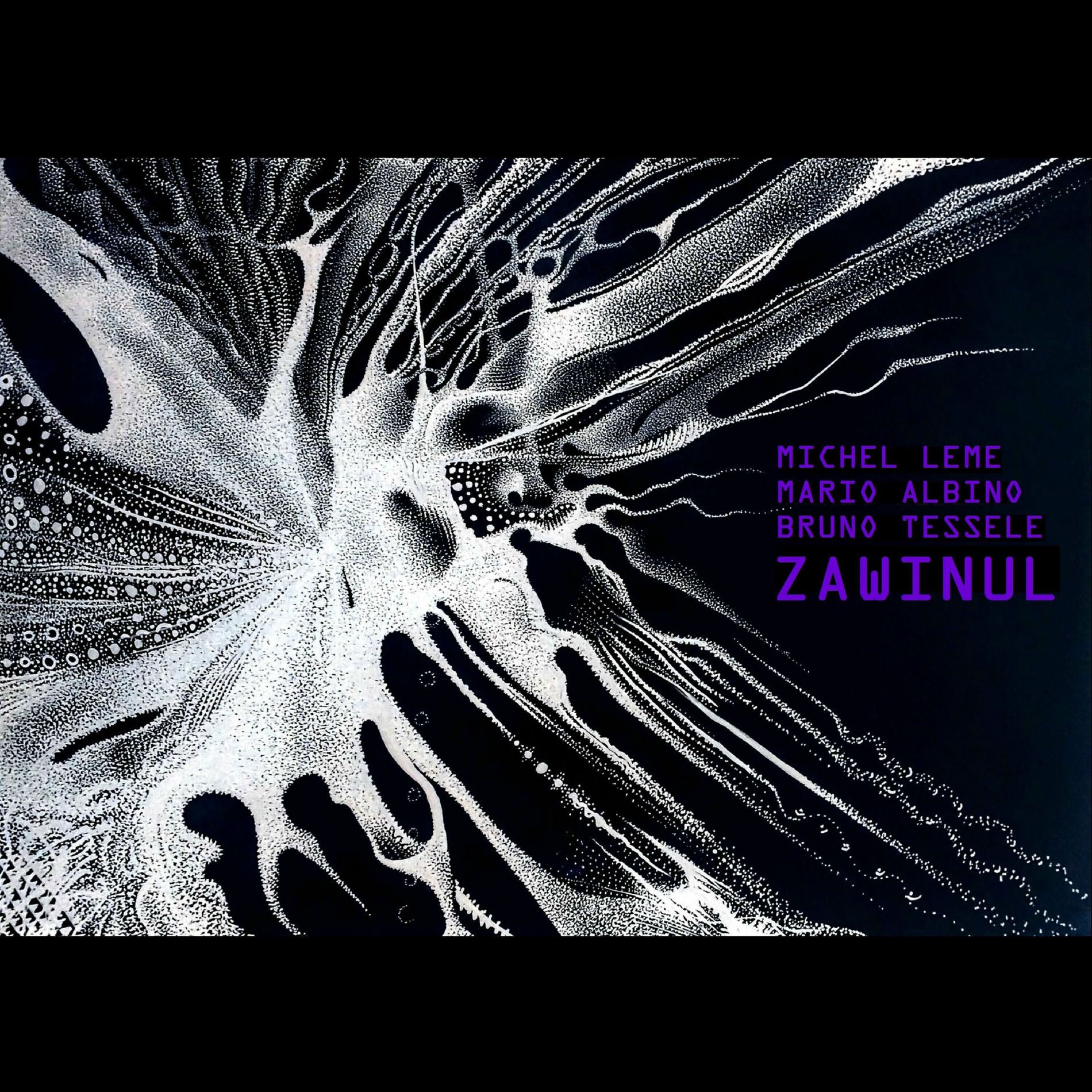 Album cover of ZAWINUL