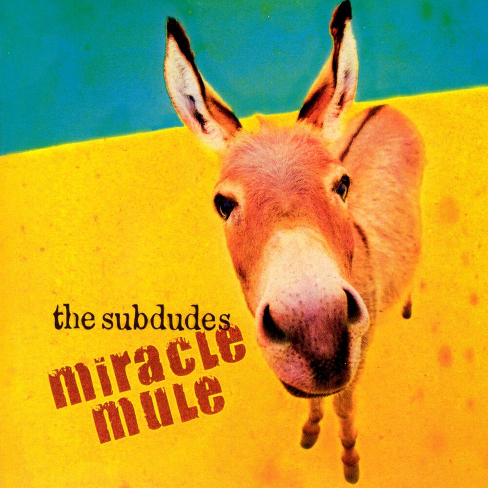 Picture of Miracle Mule