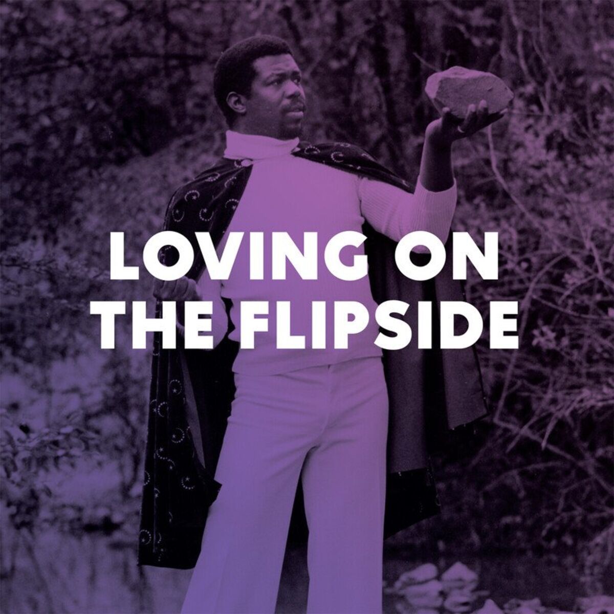 Album cover of Loving on the Flipside