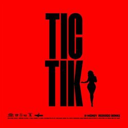 Cover of Tic Tik