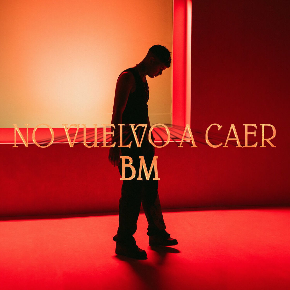 Album cover of NO VUELVO A CAER