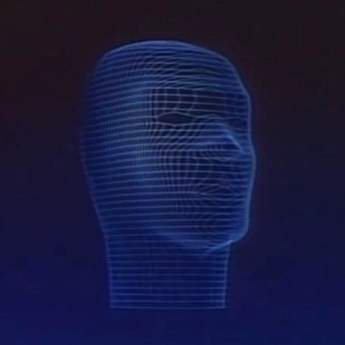 Album cover of Hologram Person