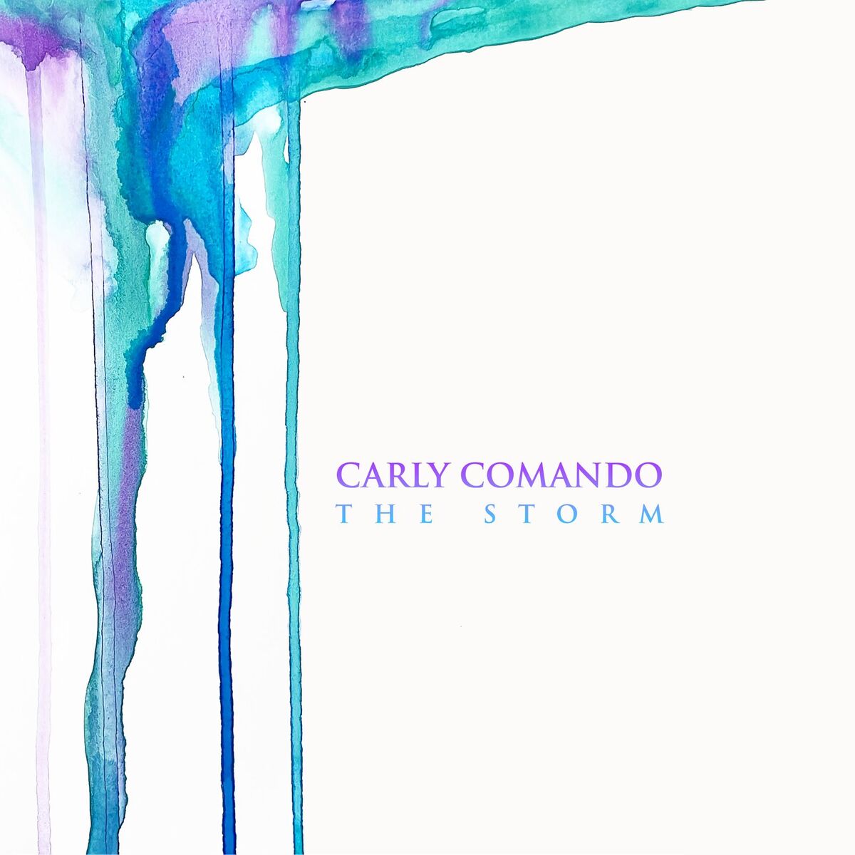 Album cover of The Storm