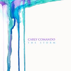 Cover of The Storm