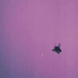 Cover of flyonthewall