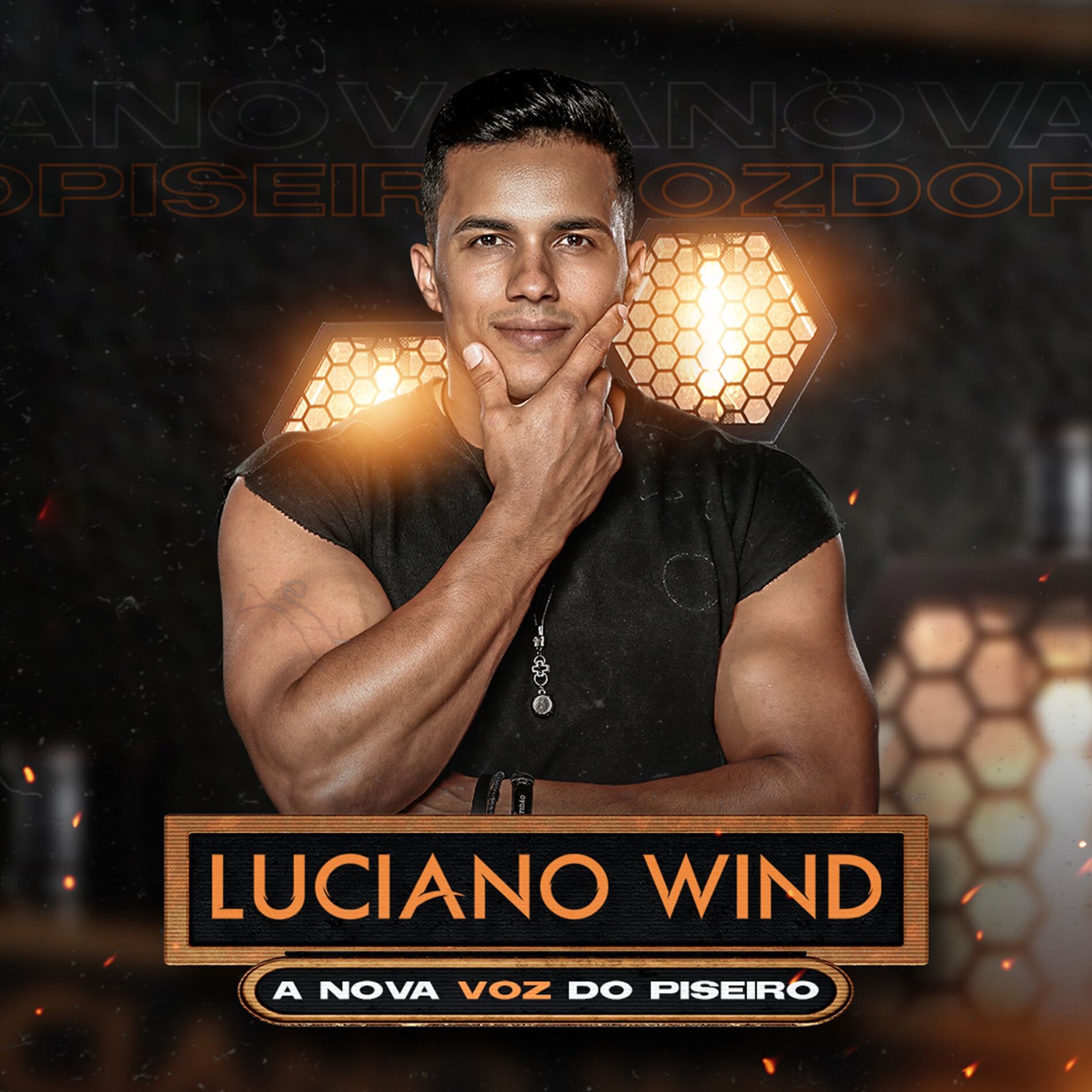Album cover of A Nova Voz do Piseiro