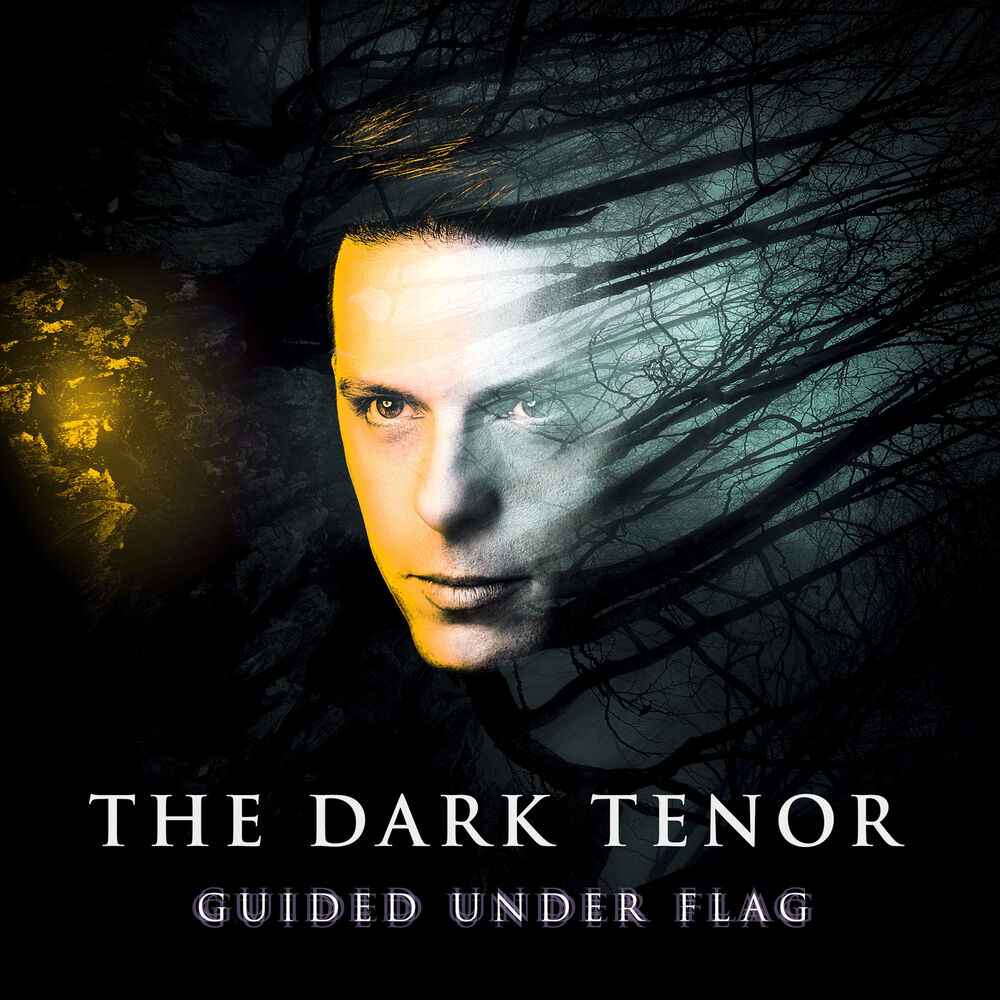 Picture of Guided Under Flag