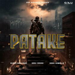 Cover of Patake