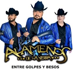 Cover of Entre Golpes y Besos