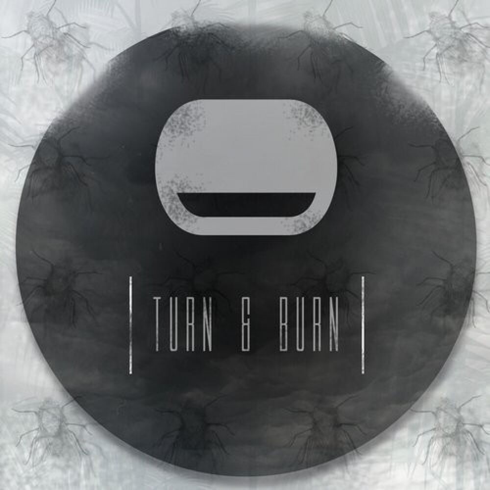 Picture of Turn & Burn